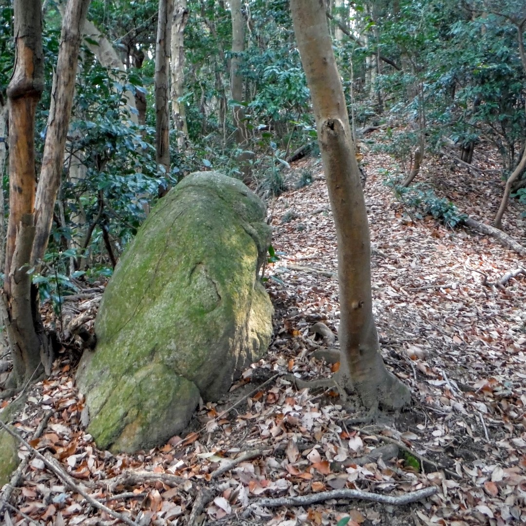 清瀧山北尾根