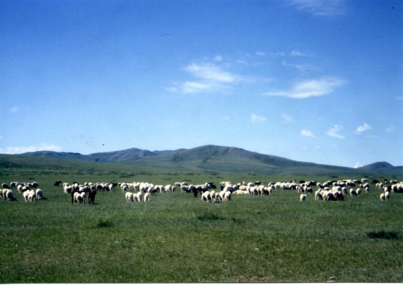 モンゴル大草原