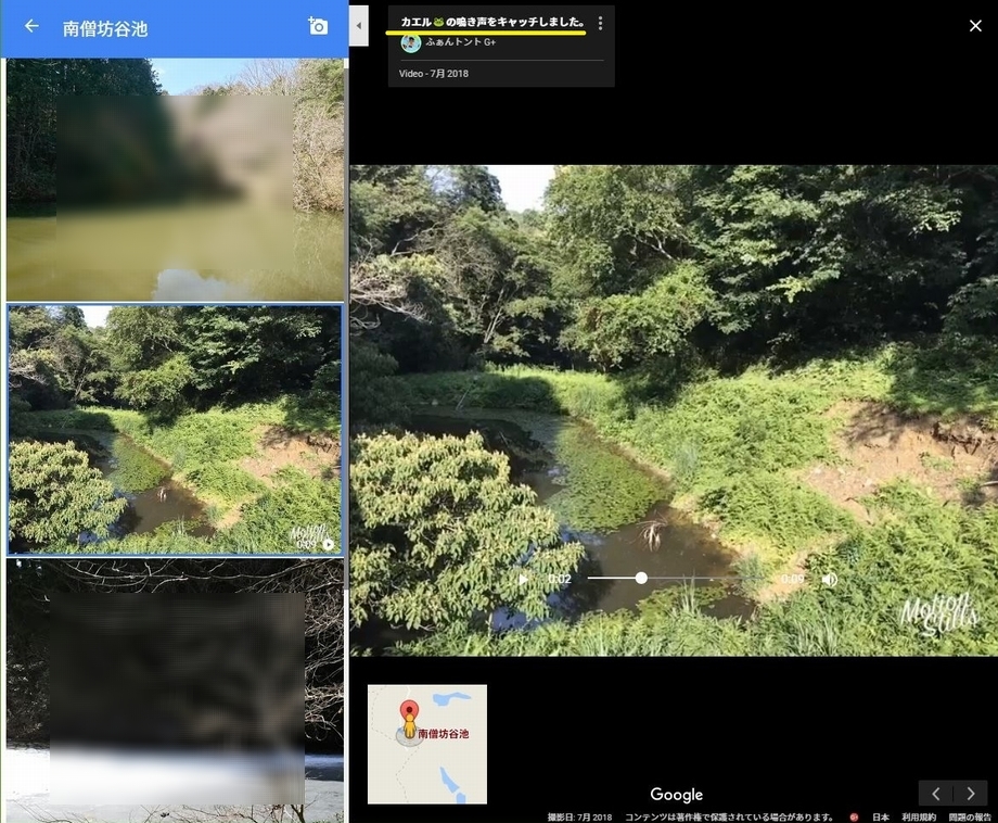 How to share Live Photos on Google Maps